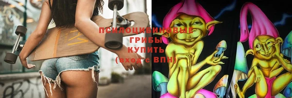 ешки Алексин