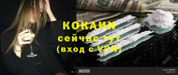 ешки Алексин